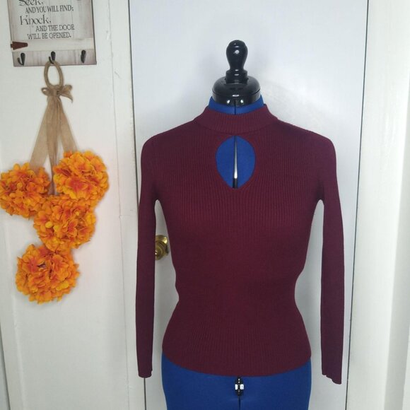 Ambience Burgundy Spandex Turtleneck Size M - Picture 1 of 9